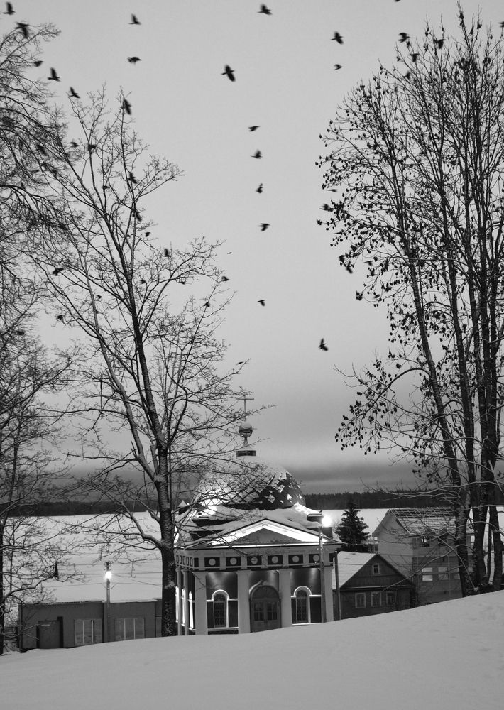 Photograph by Эльвира