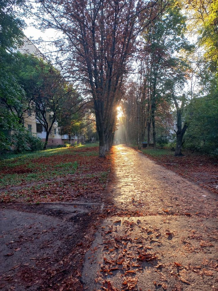 Photograph by VIKTORIA HORUZHINA