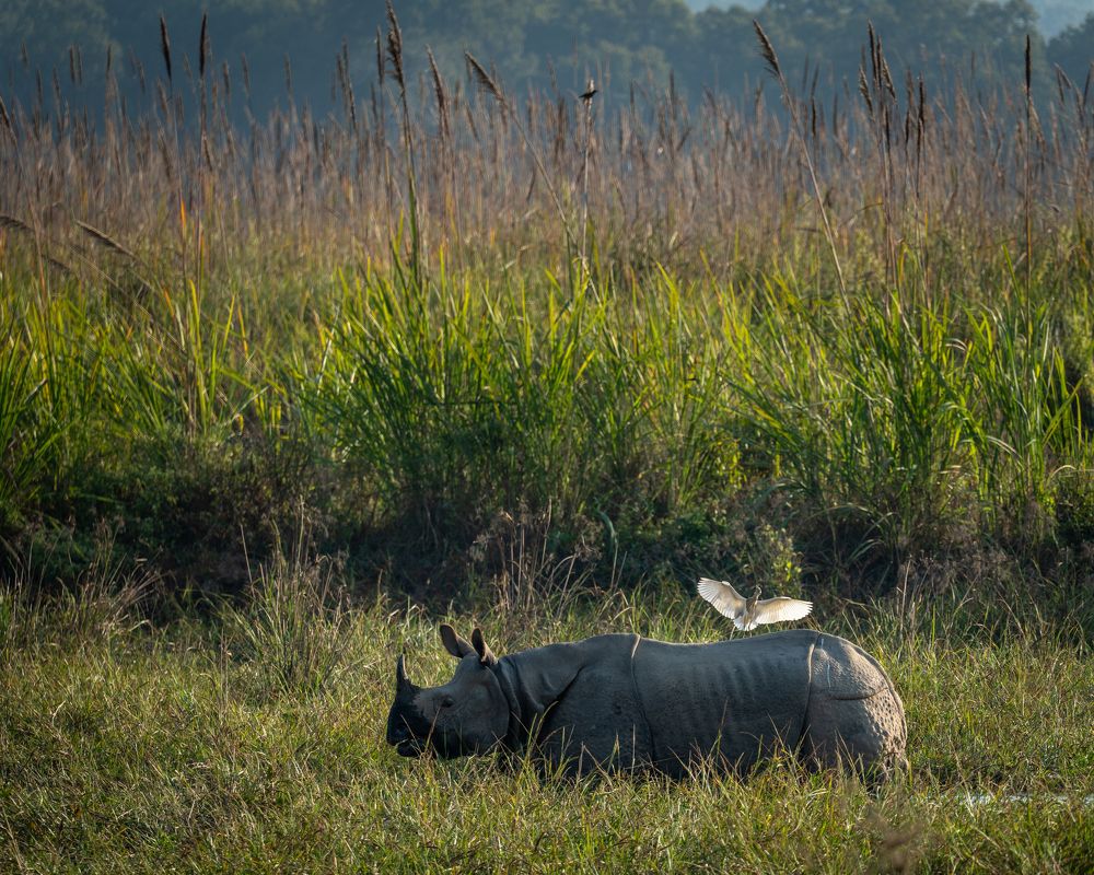 Photograph by Баландин Дмитрий