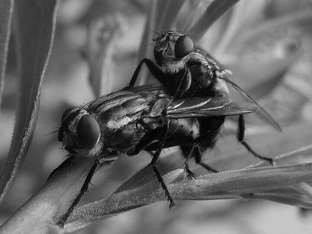 Фотография автора Павел Попов