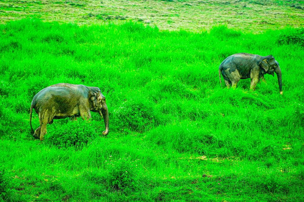 Photograph by Glorius Delima