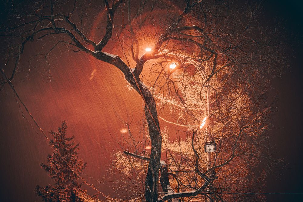 Фотография автора Дмитрий Новиков