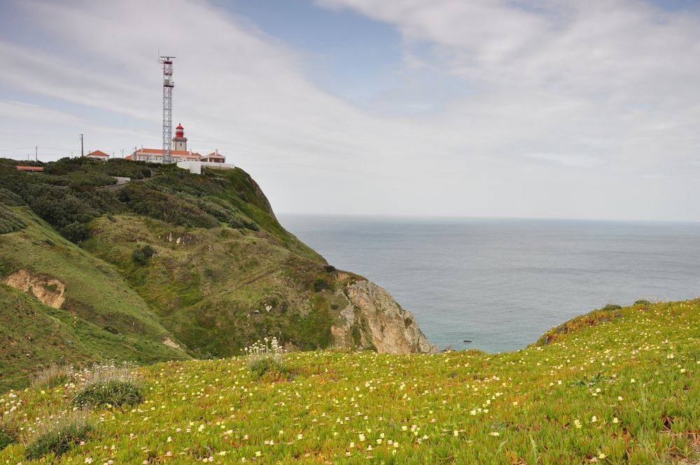 Photograph by Елена Никонова