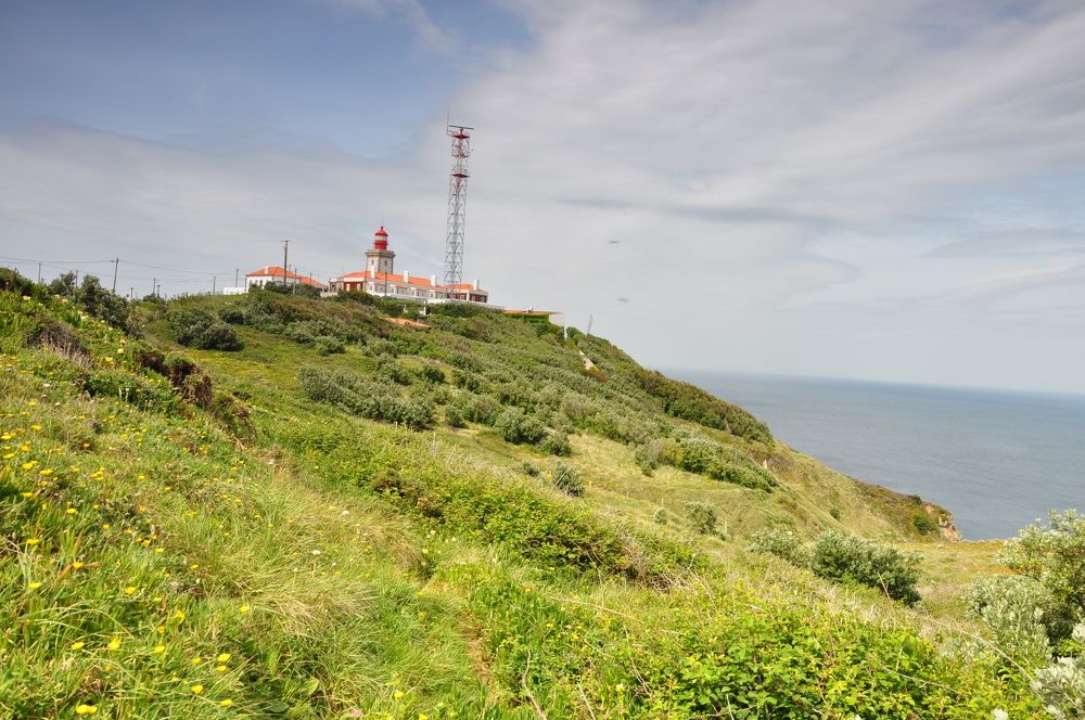 Photograph by Елена Никонова