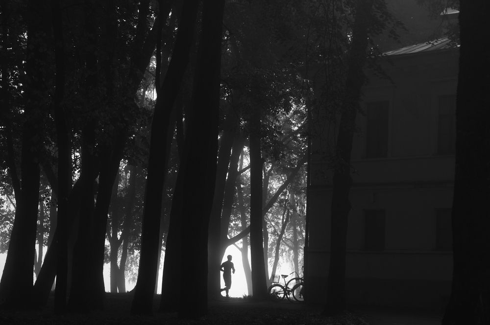 Photograph by Эльвира Королева