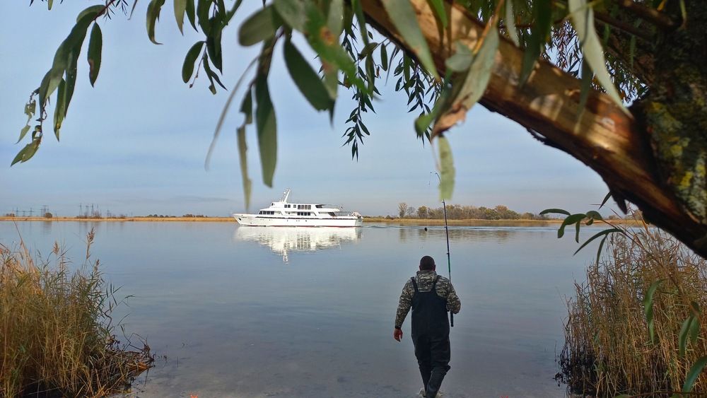 Photograph by VIKTORIA HORUZHINA