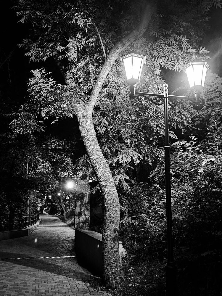 Photograph by Светлана Широкова