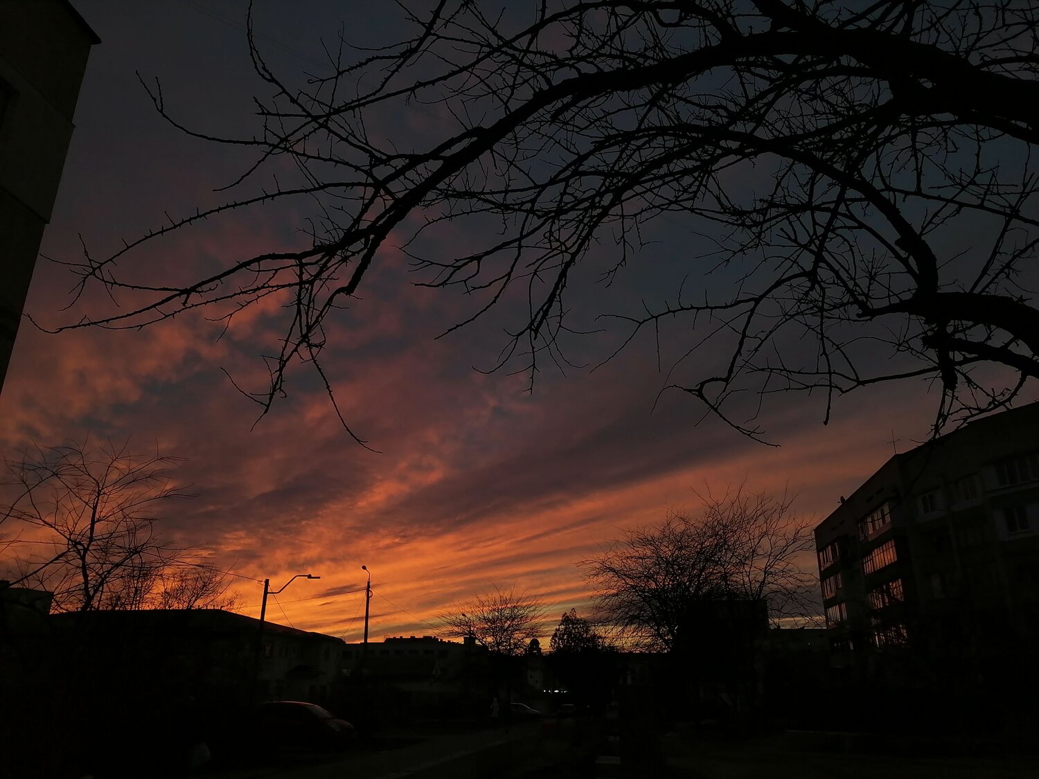 Photo #9943124
