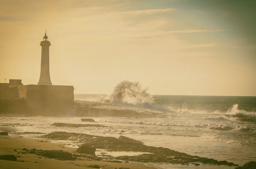 Photograph by Katja Sen