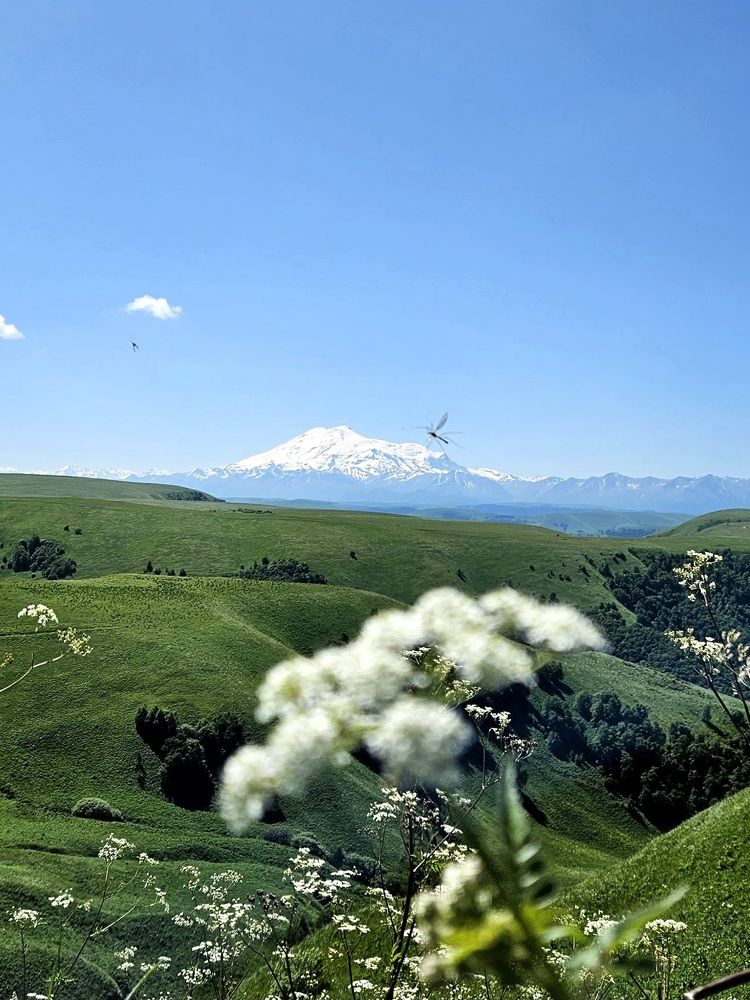 Photograph by Светлана Широкова