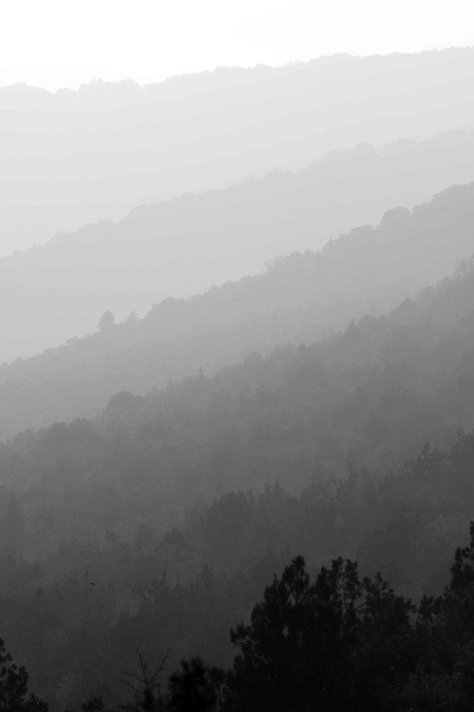 Photograph by Eta Carinae