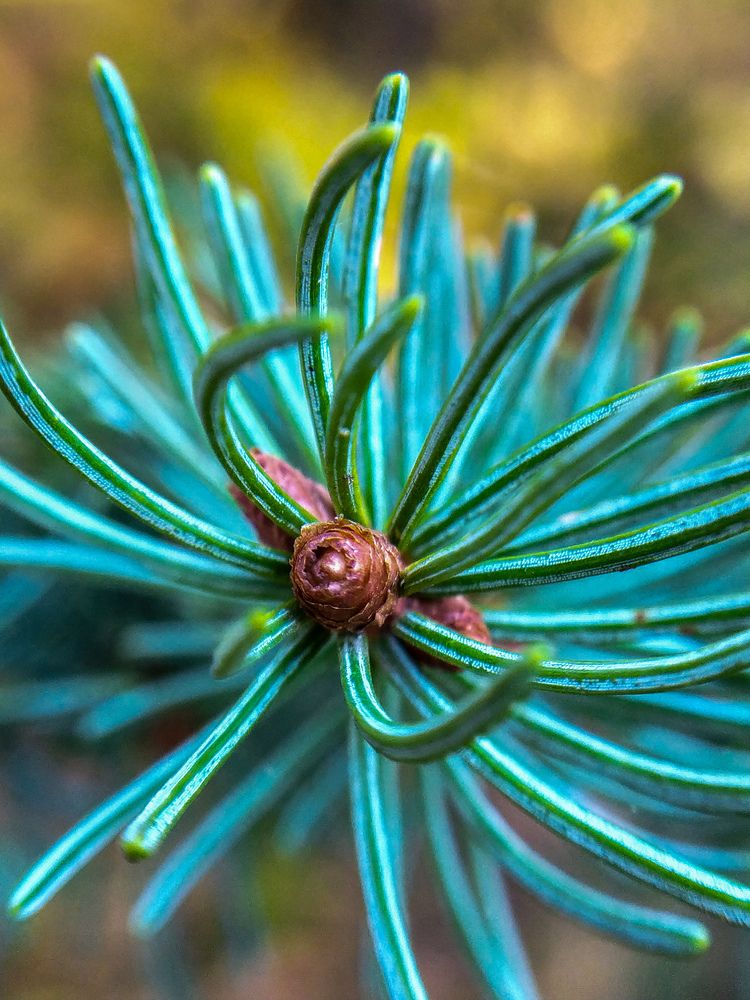 Photograph by Tatiana