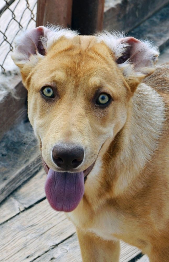 Photograph by Надежда