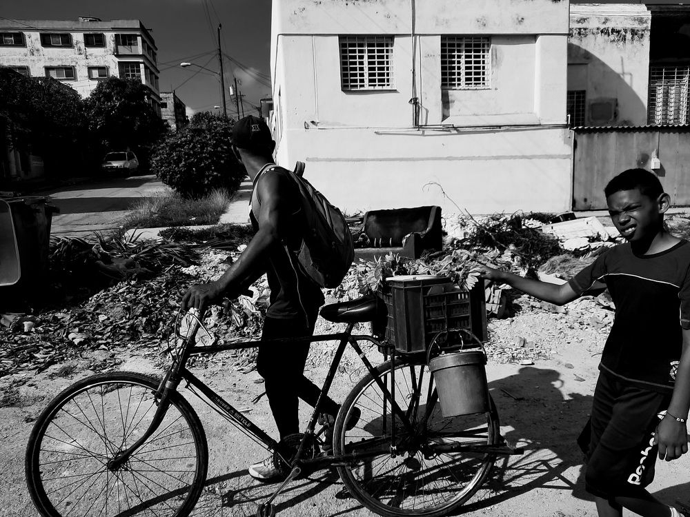 Photograph by Jorge Cruz Fraga