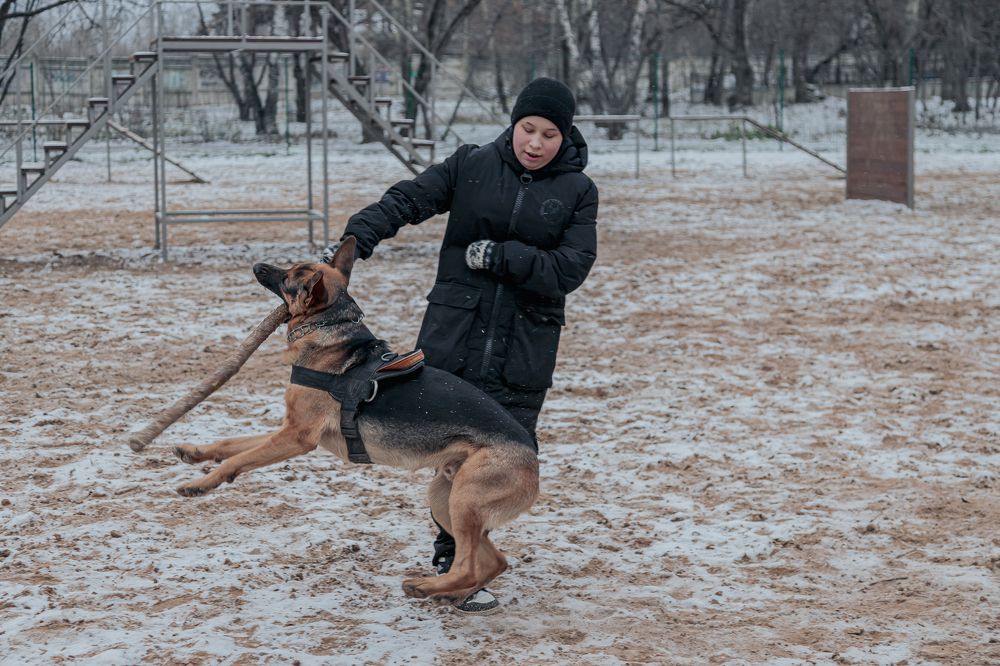 Фотография автора Евгения Снигирева