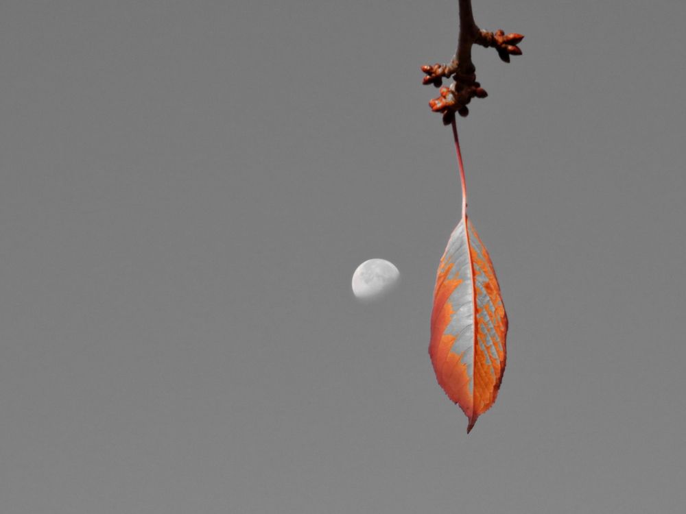 Фотография автора Mahdi Mohammadi