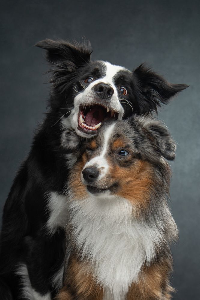 Photograph by Юлия Зубкова