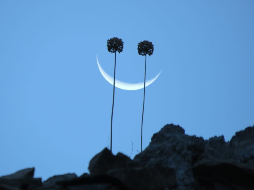 Photograph by Mahdi Mohammadi