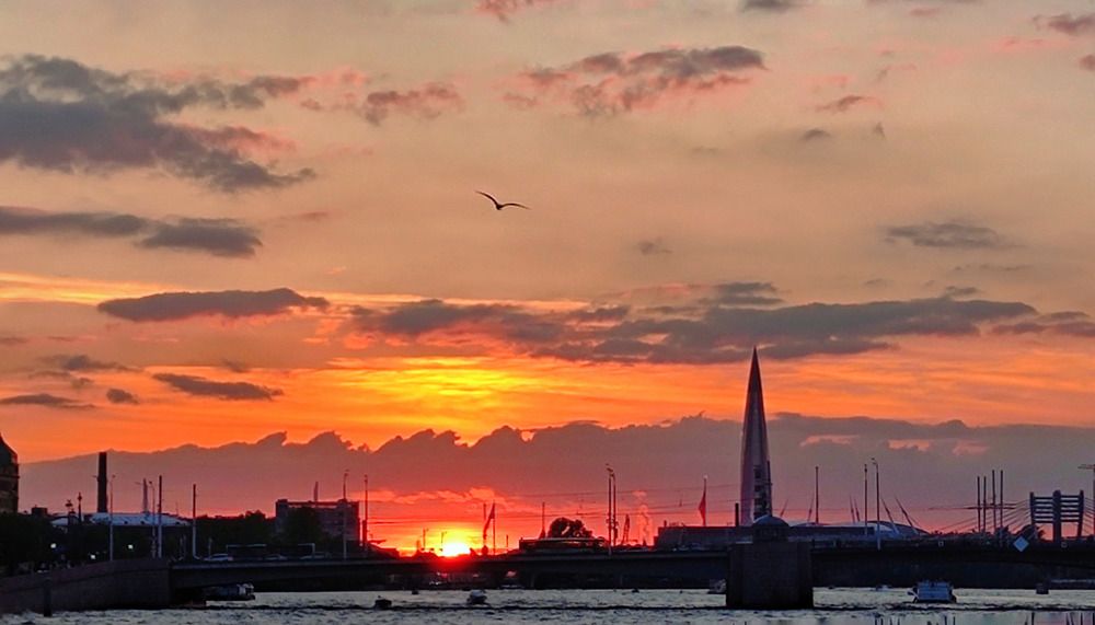 Photograph by Алла Холодова