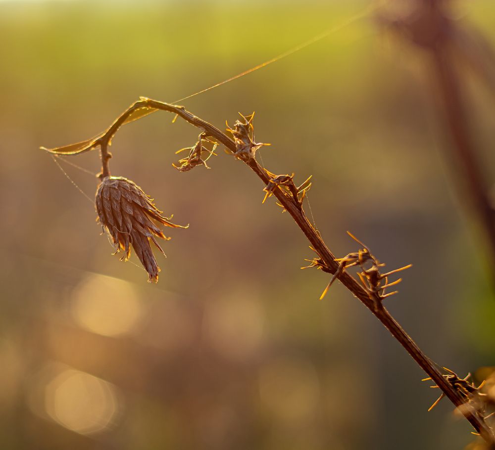 Photograph by Vitalii Kaznin
