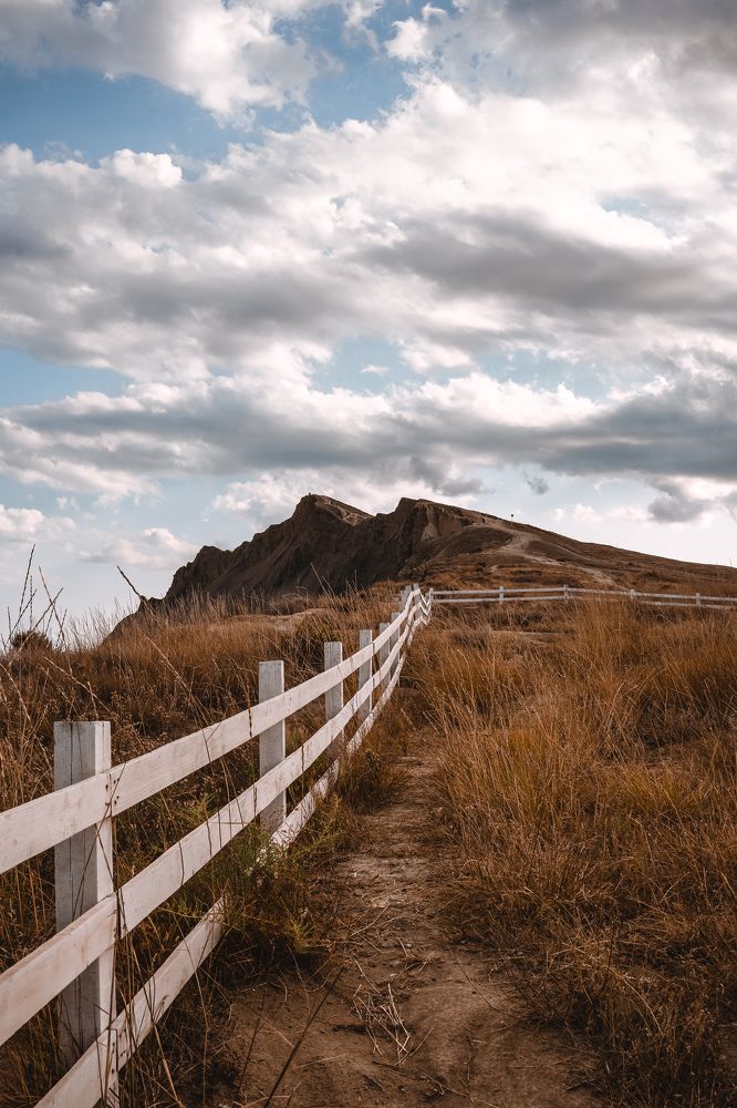 Фотография автора Татьяна Тур