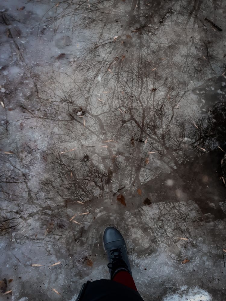 Photograph by Людмила