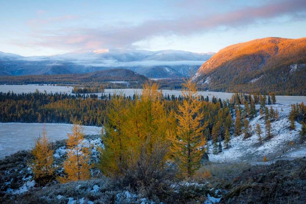 Photograph by Мария Казакова