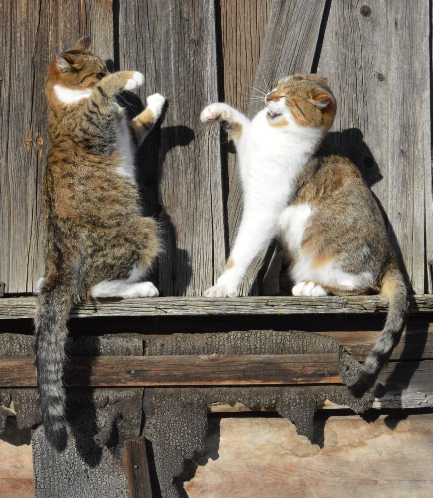 Photograph by Наталья Маслова