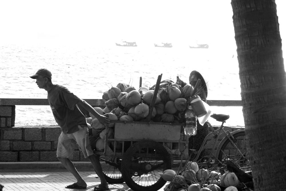 Life of coastal villagers