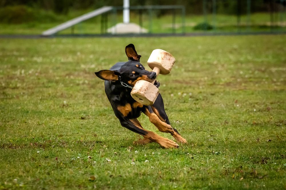 Photograph by Елена Вьюркова