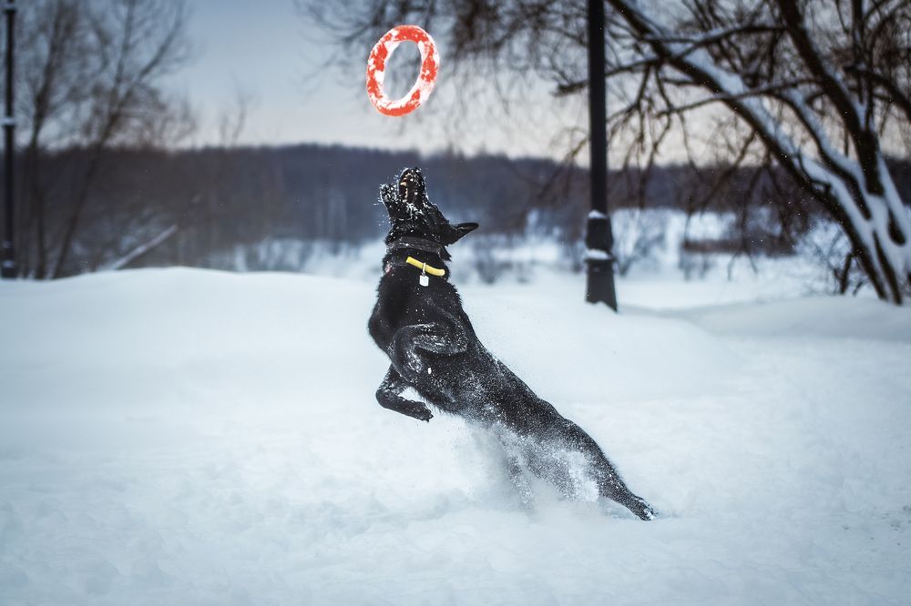 Photograph by Елена Вьюркова