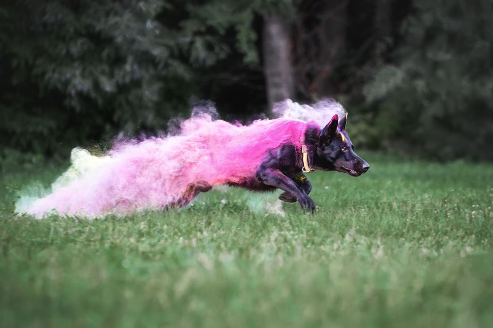 Photograph by Елена Вьюркова