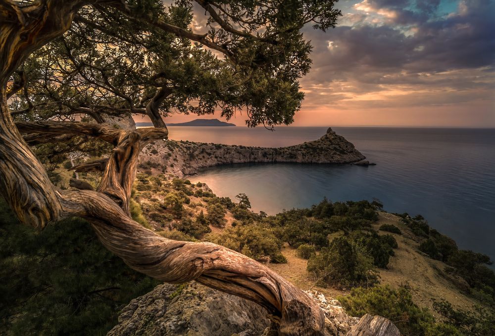 Photograph by Александр Разумов