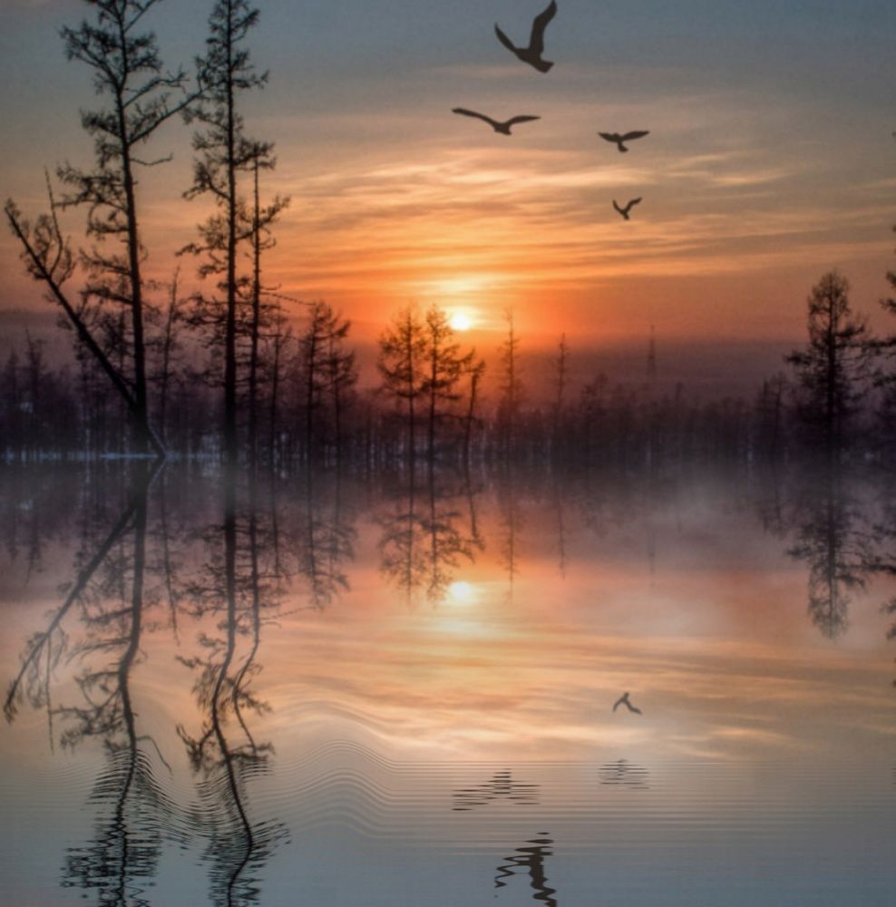 Photograph by 