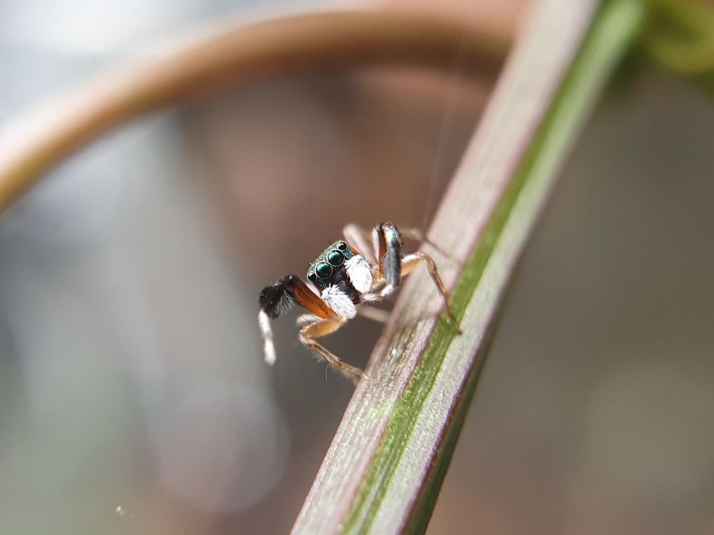 Photograph by Thein Win Tun