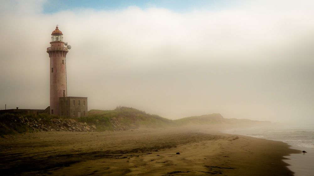 Photograph by Olena Vorotyntseva