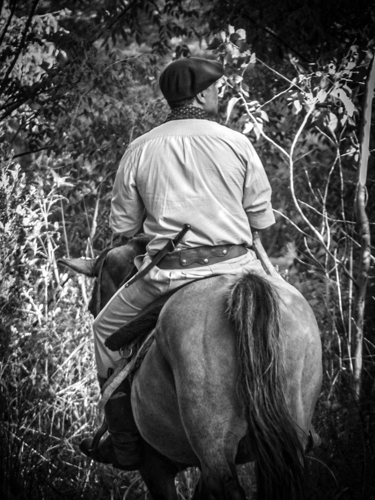 Photo #9944129