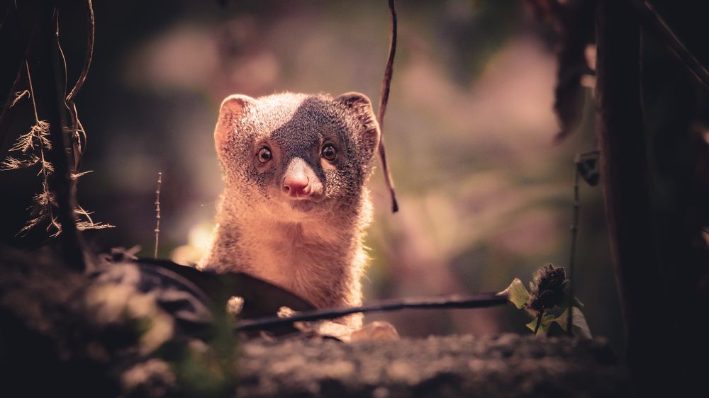 Photograph by Jemy Jose Mathew