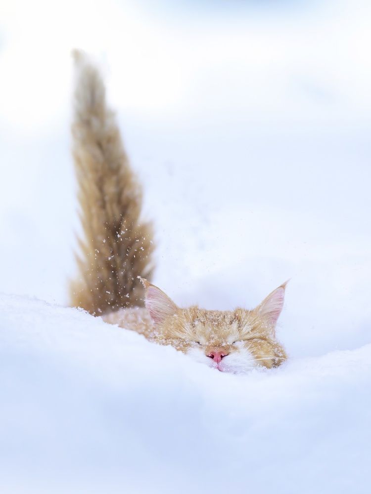 Photograph by Пупонин Сергей