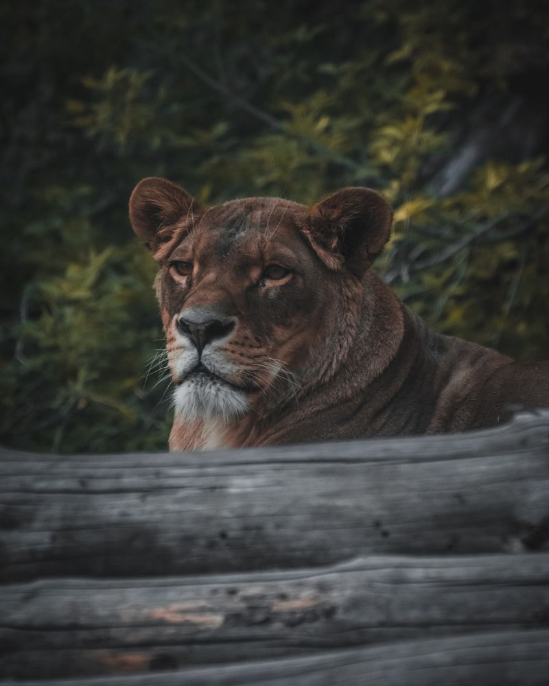 Photograph by Николай Головко