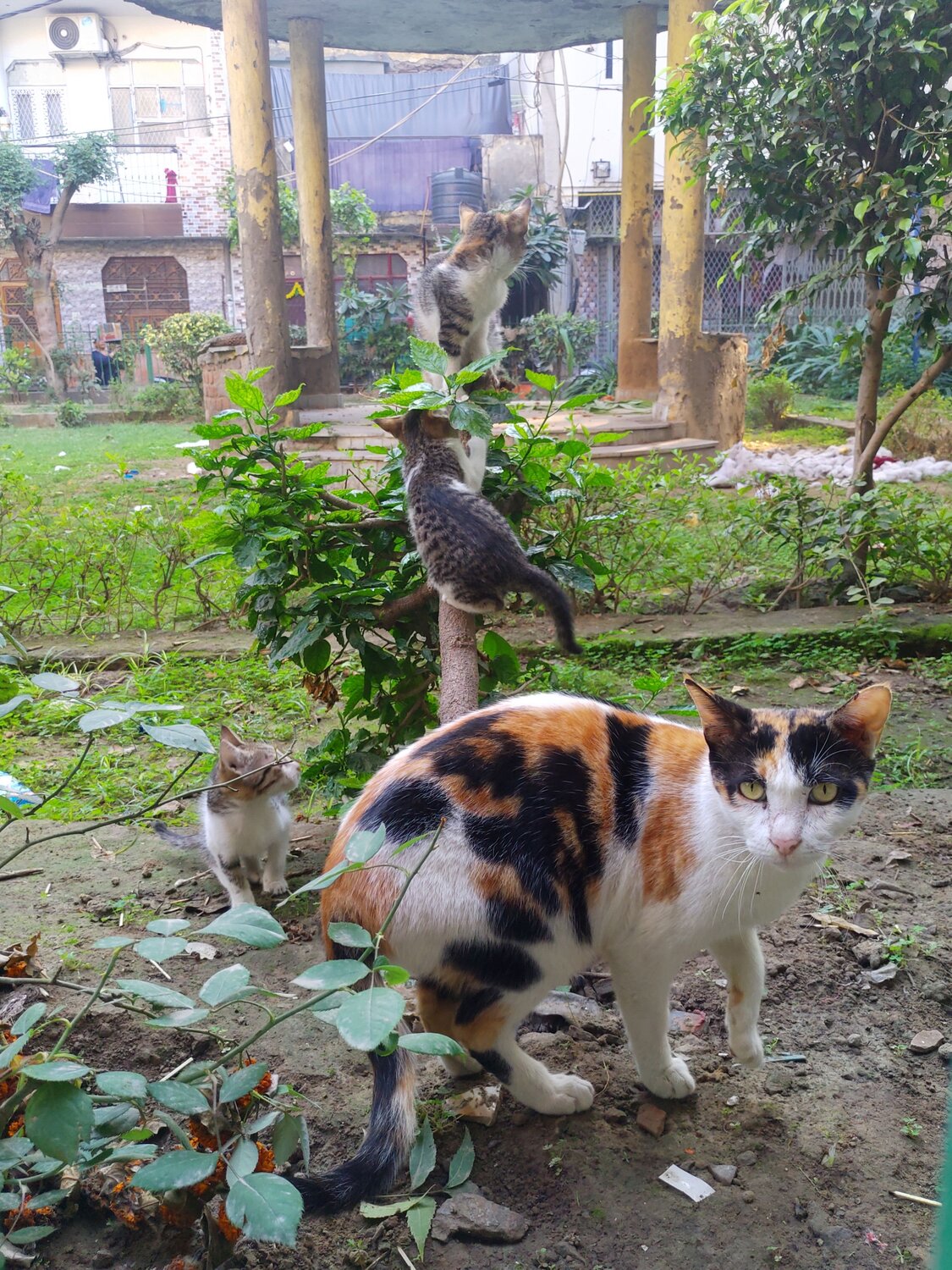 Photo #9944250