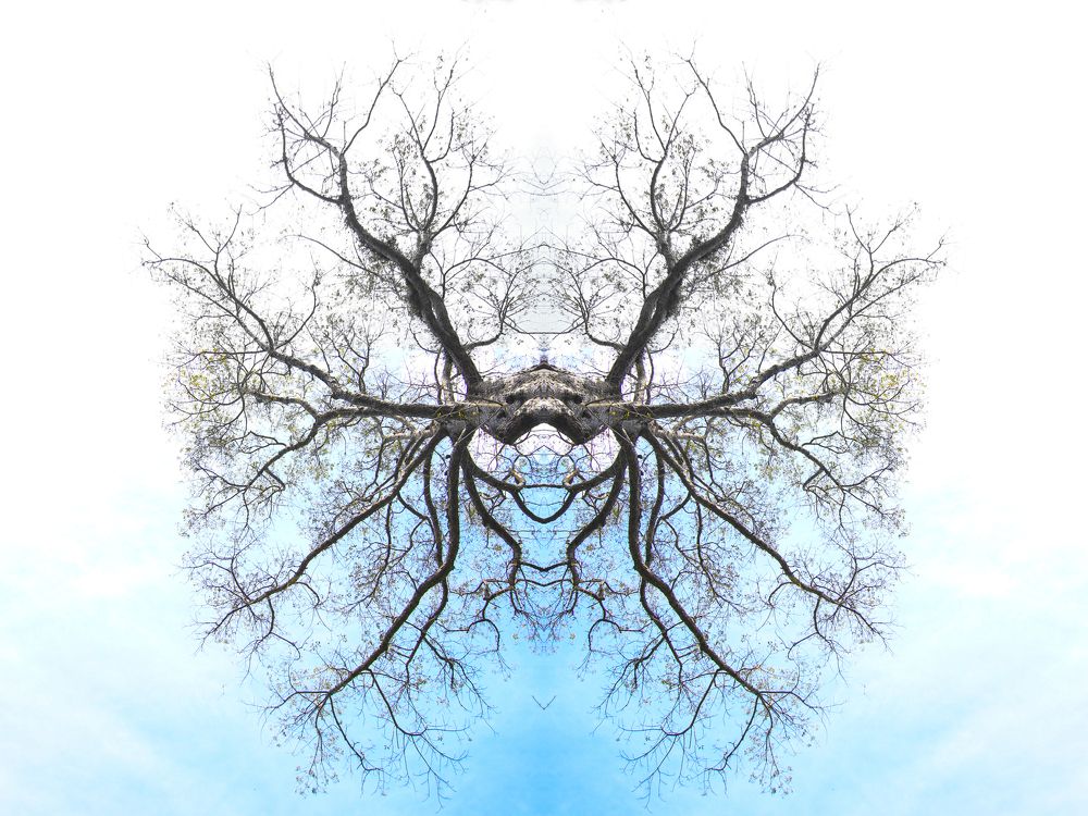 Фотография автора Anil Prabhakar