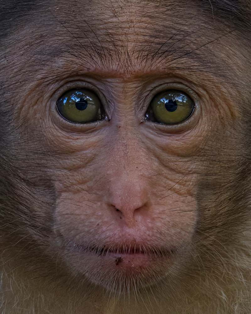 Фотография автора Vishal s