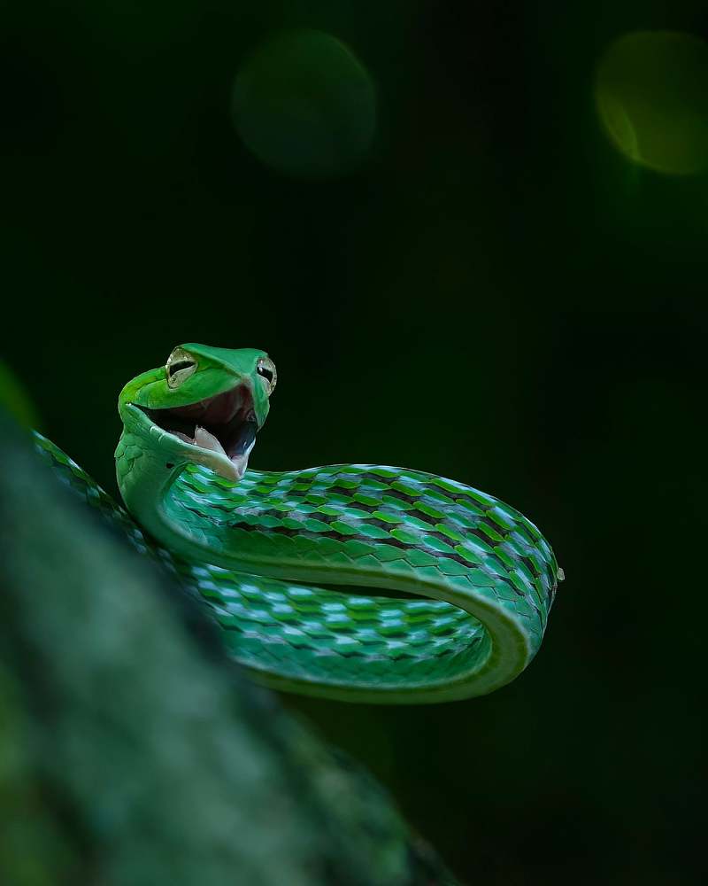 Фотография автора Vishal s