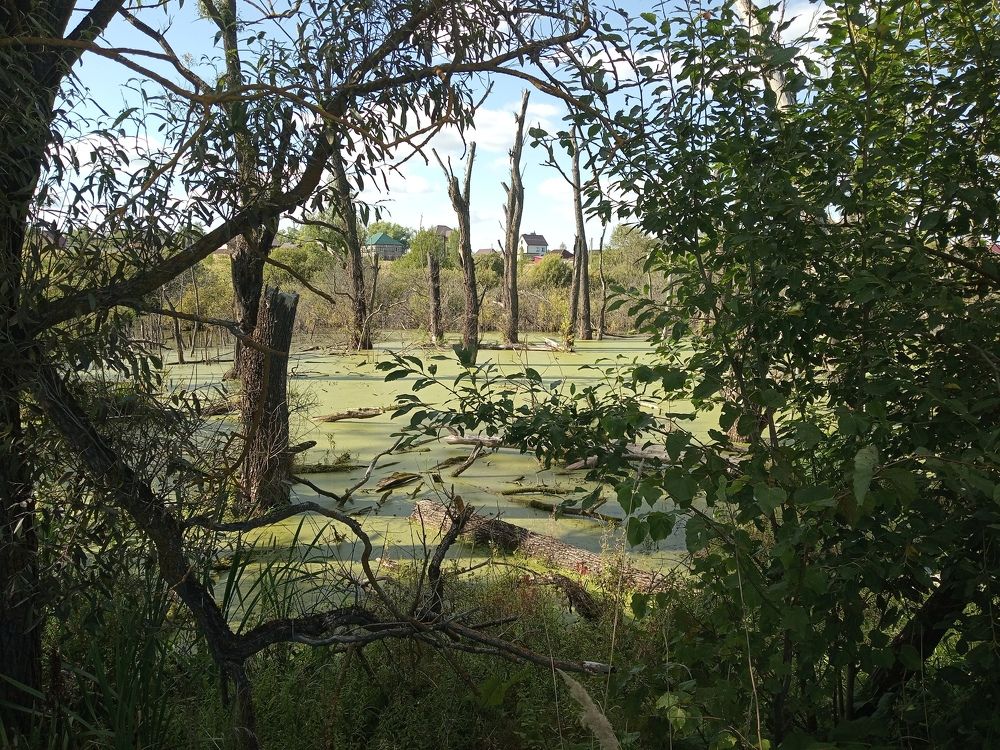 Photograph by Татьяна