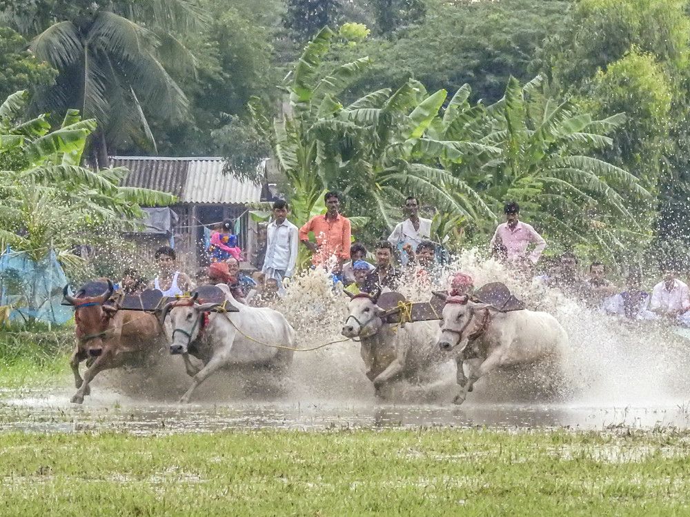Photograph by Bidyut Dutta