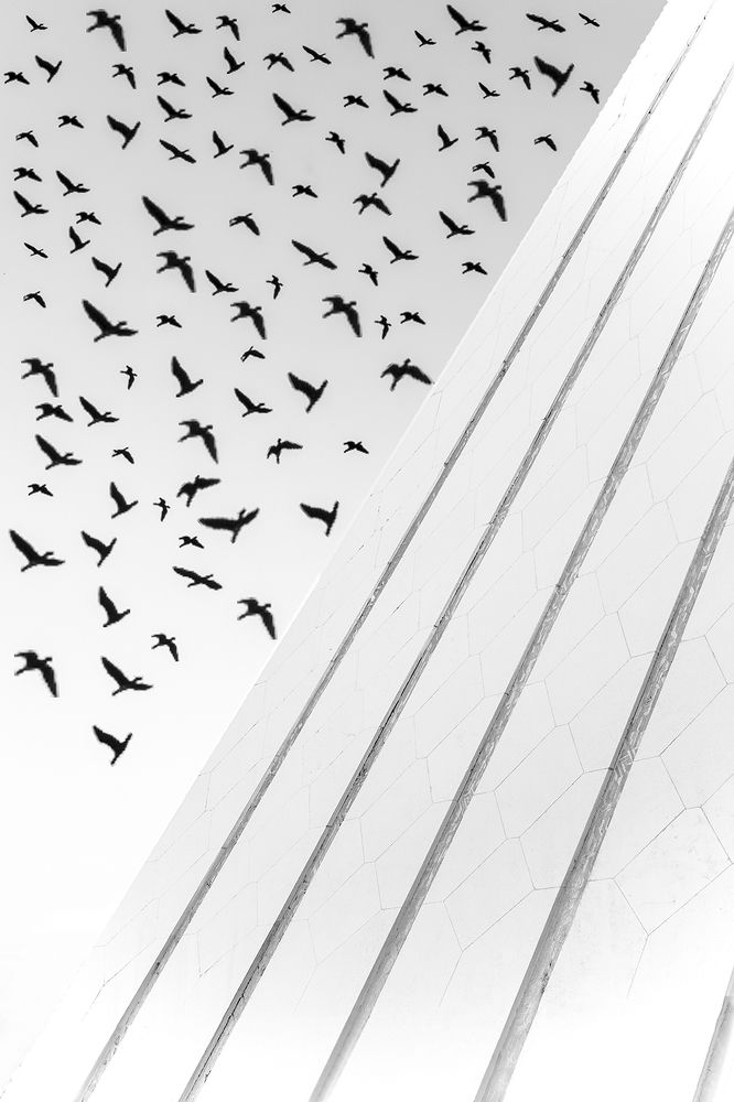 Photograph by Hoda Amouzandeh