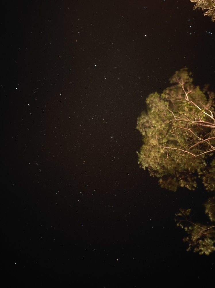 Photograph by Muhammed Junaid A P