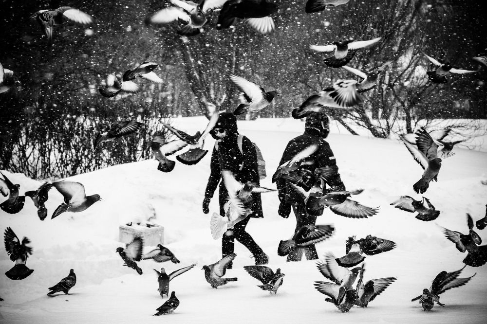 Photograph by Андрей Кульков