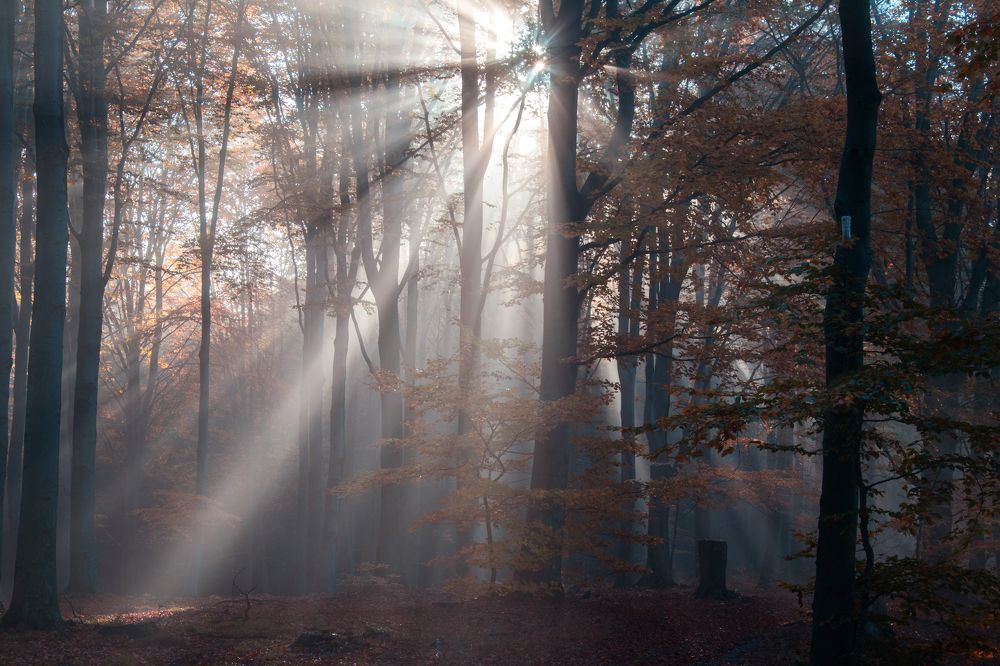 Photograph by Marcin Nalepka